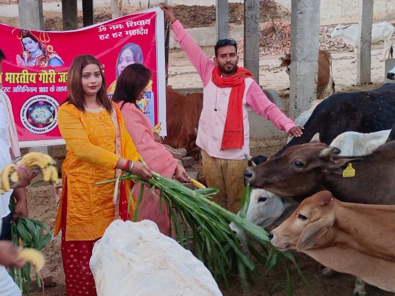 गौशाला सेवा — Cow Protection