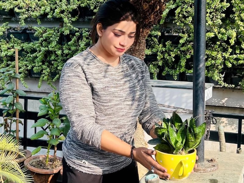 वृक्षारोपण — Tree Plantation